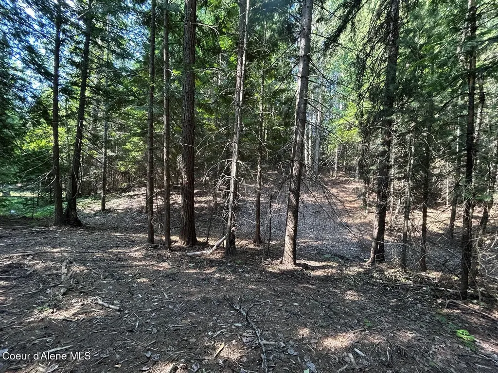 Lot 7 Bk 1 Fall Creek Road Naples ID 83847