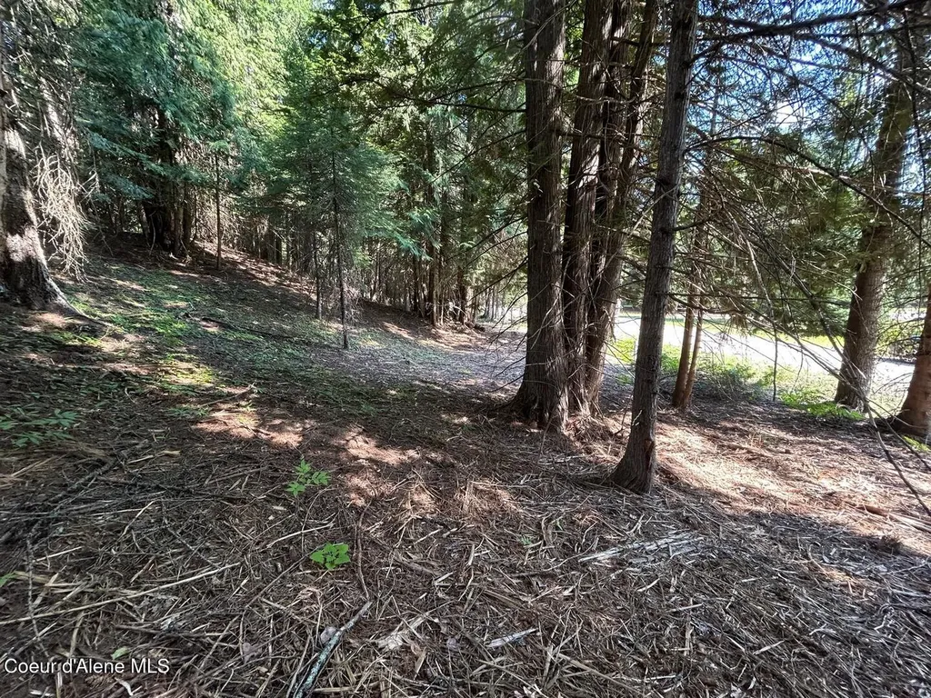 Lot 7 Bk 1 Fall Creek Road Naples ID 83847