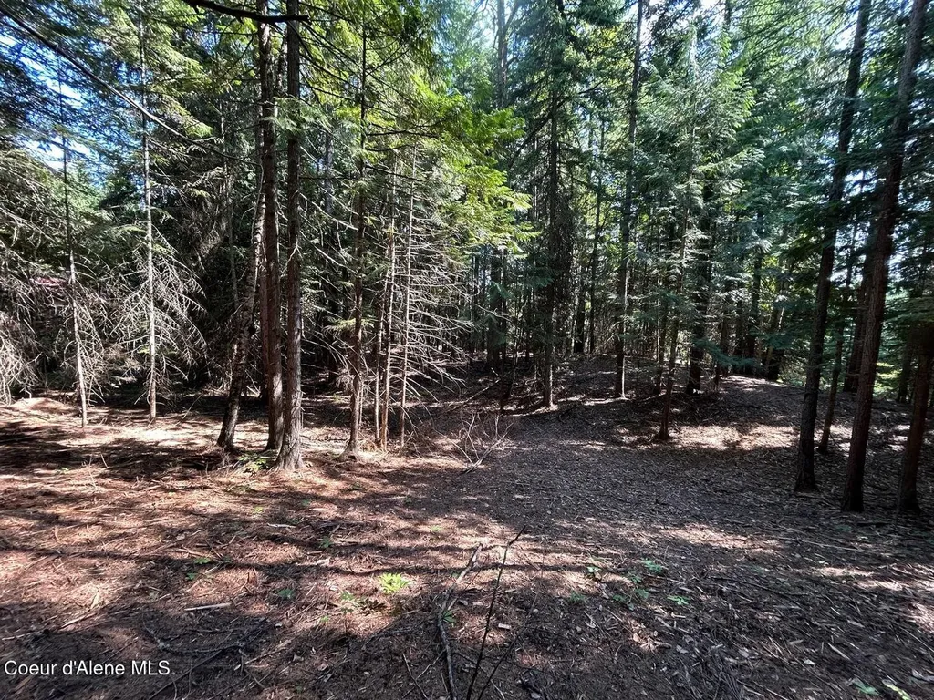 Lot 7 Bk 1 Fall Creek Road Naples ID 83847