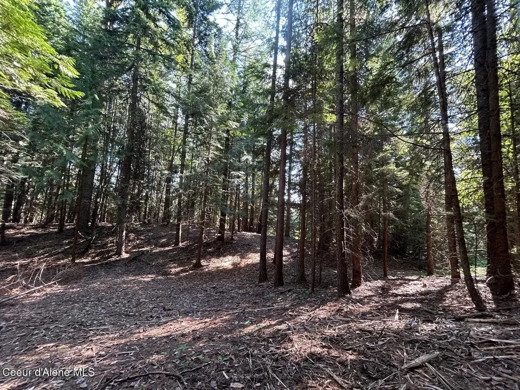 Lot 7 Bk 1 Fall Creek Road Naples ID 83847