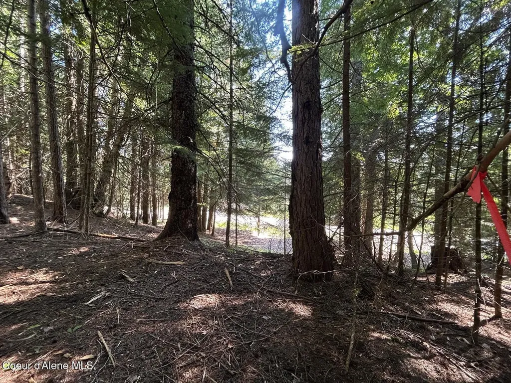 Lot 7 Bk 1 Fall Creek Road Naples ID 83847