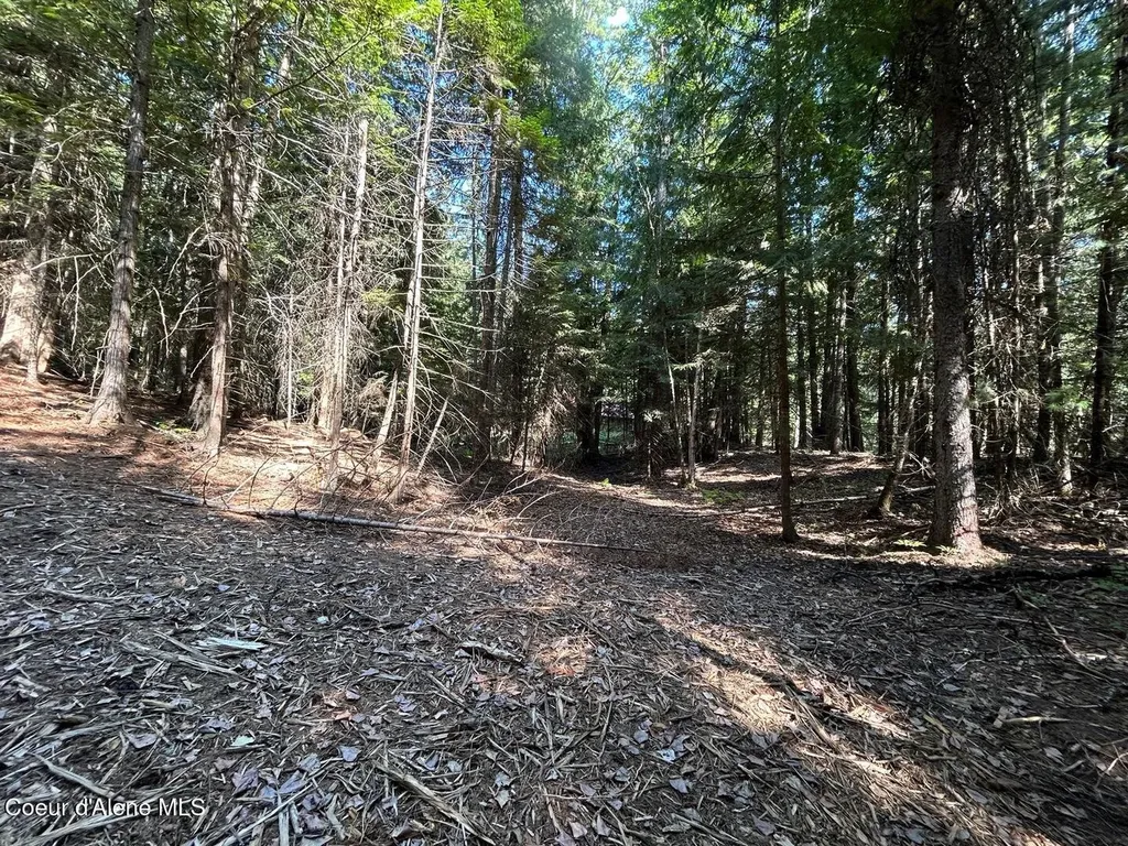 Lot 7 Bk 1 Fall Creek Road Naples ID 83847