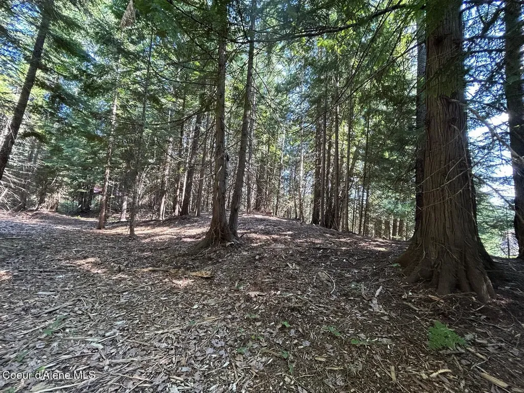 Lot 7 Bk 1 Fall Creek Road Naples ID 83847