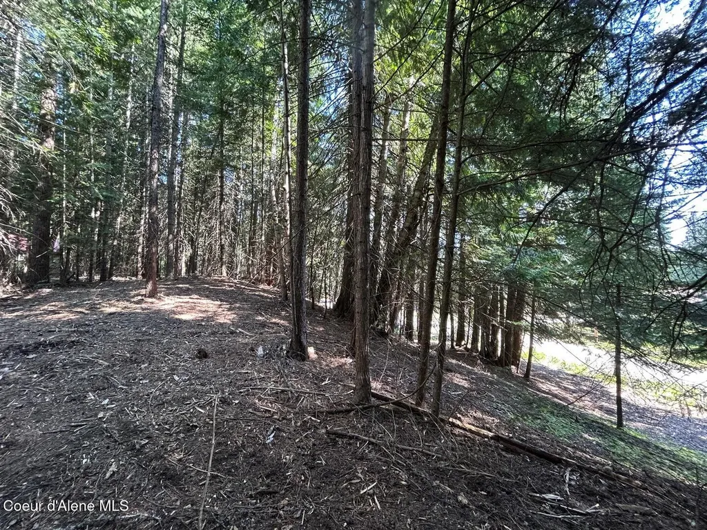 Lot 7 Bk 1 Fall Creek Road Naples ID 83847