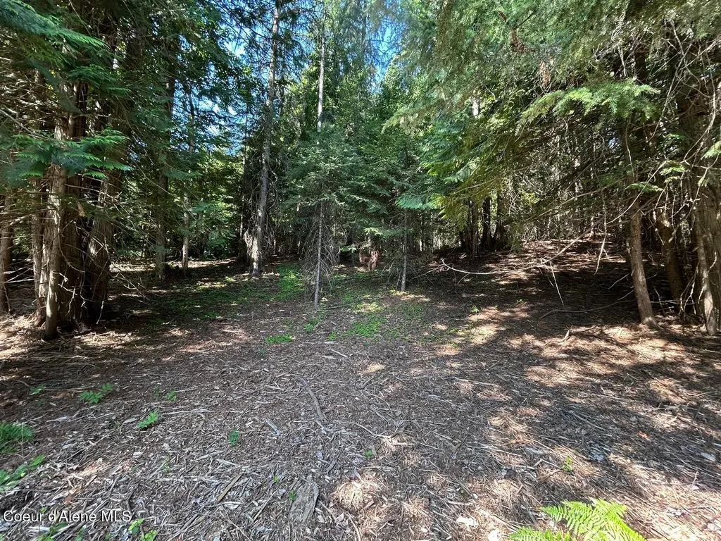 Lot 7 Bk 1 Fall Creek Road Naples ID 83847