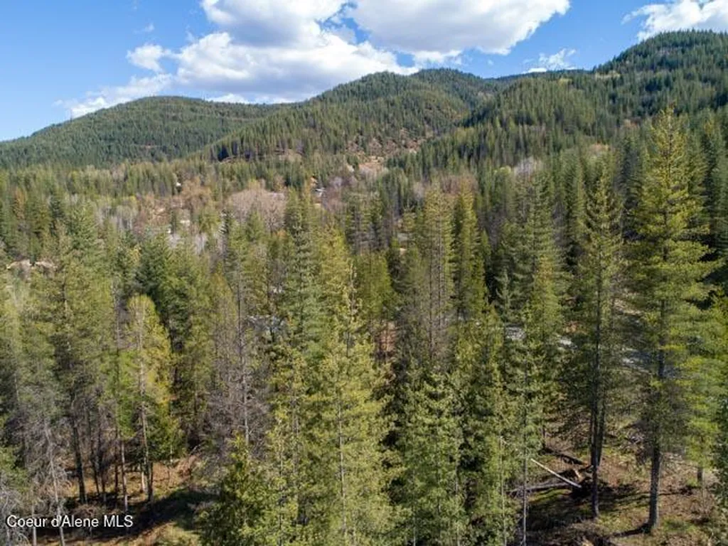 106 Blazing Saddle Court Pinehurst ID 83850