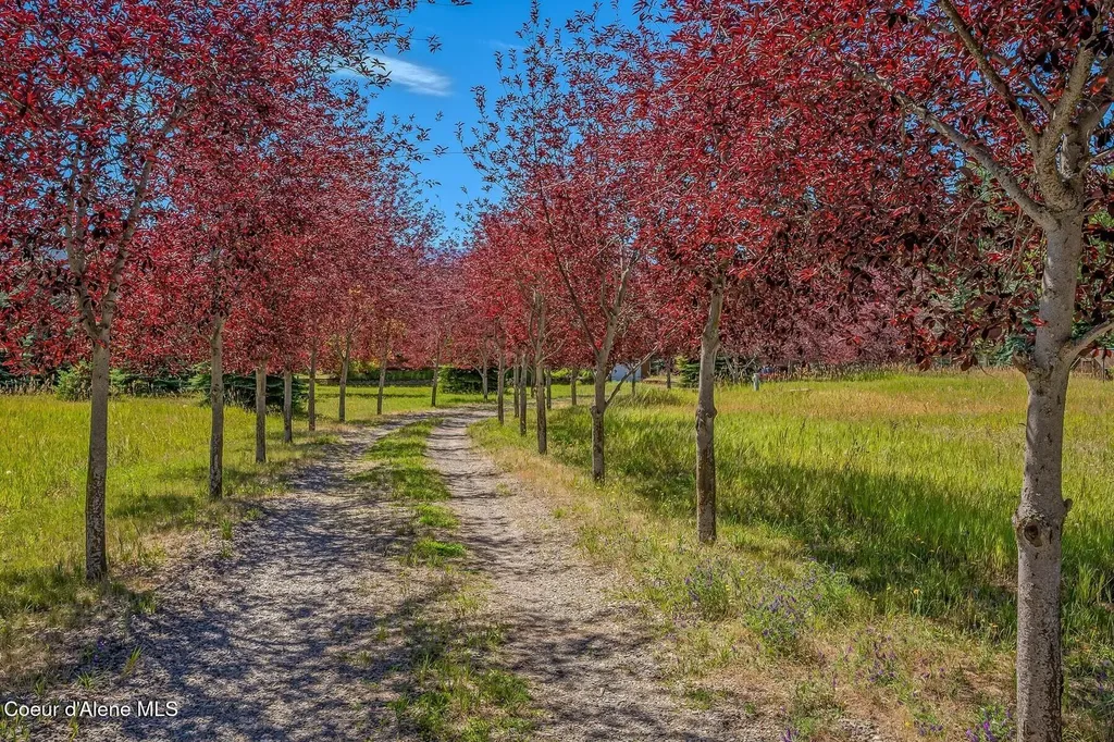 158 W Mountainview Road Moyie Springs ID 83845