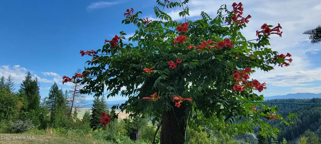 271 Windswept Court Naples ID 83847