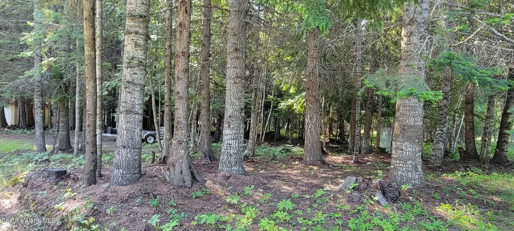 271 Windswept Court Naples ID 83847