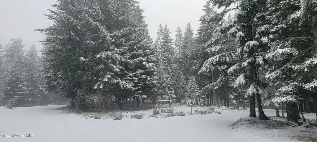 271 Windswept Court Naples ID 83847