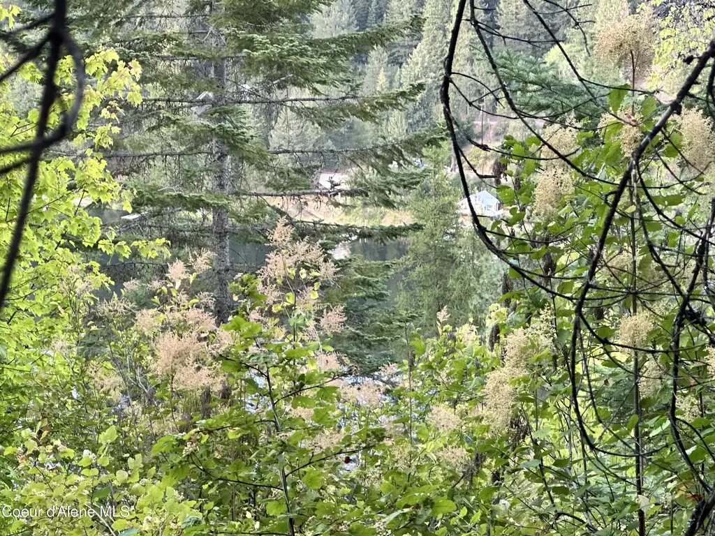 29 Acres Hinds Drive St. Maries ID 83861