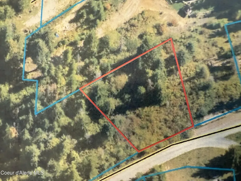 29 Acres Hinds Drive St. Maries ID 83861