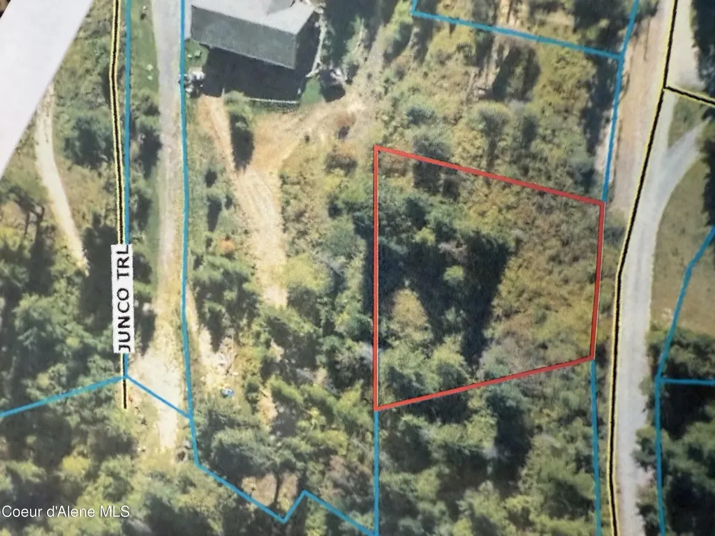 29 Acres Hinds Drive St. Maries ID 83861