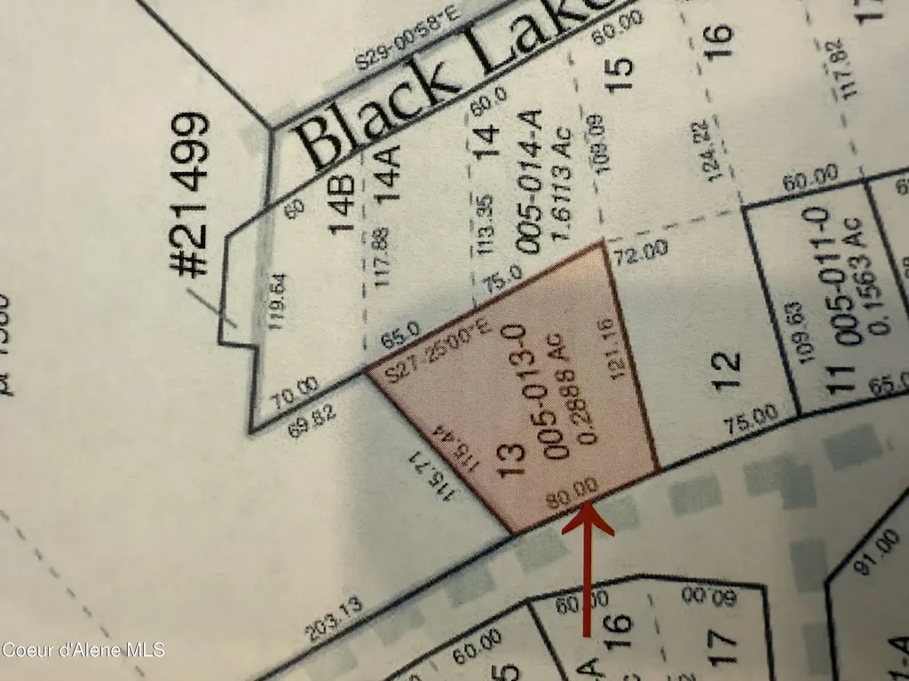 29 Acres Hinds Drive St. Maries ID 83861