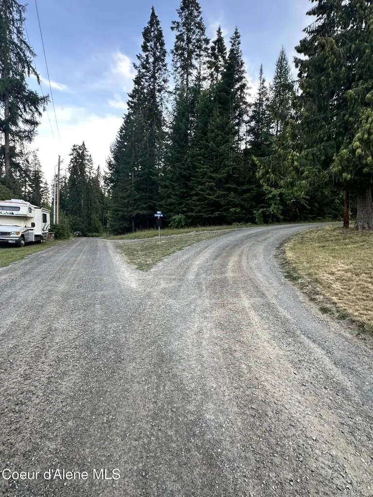 29 Acres Hinds Drive St. Maries ID 83861
