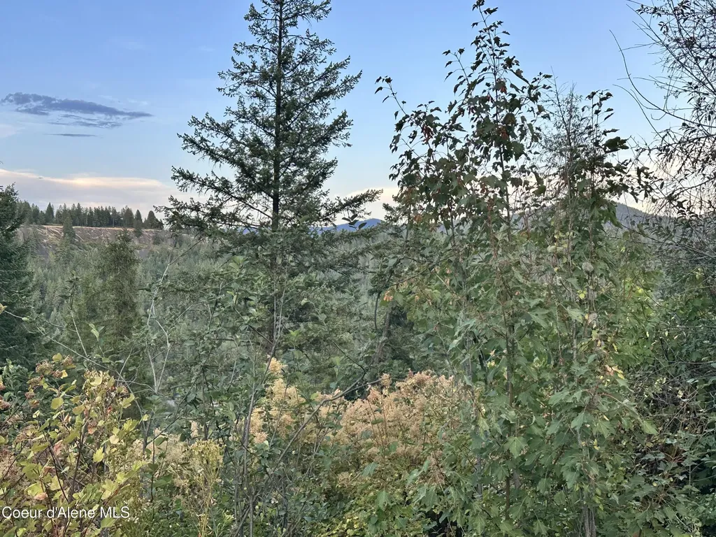 29 Acres Hinds Drive St. Maries ID 83861