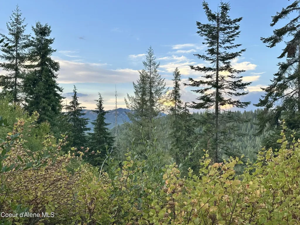 29 Acres Hinds Drive St. Maries ID 83861
