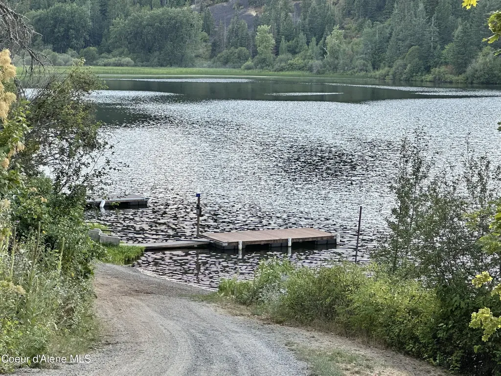 29 Acres Hinds Drive St. Maries ID 83861