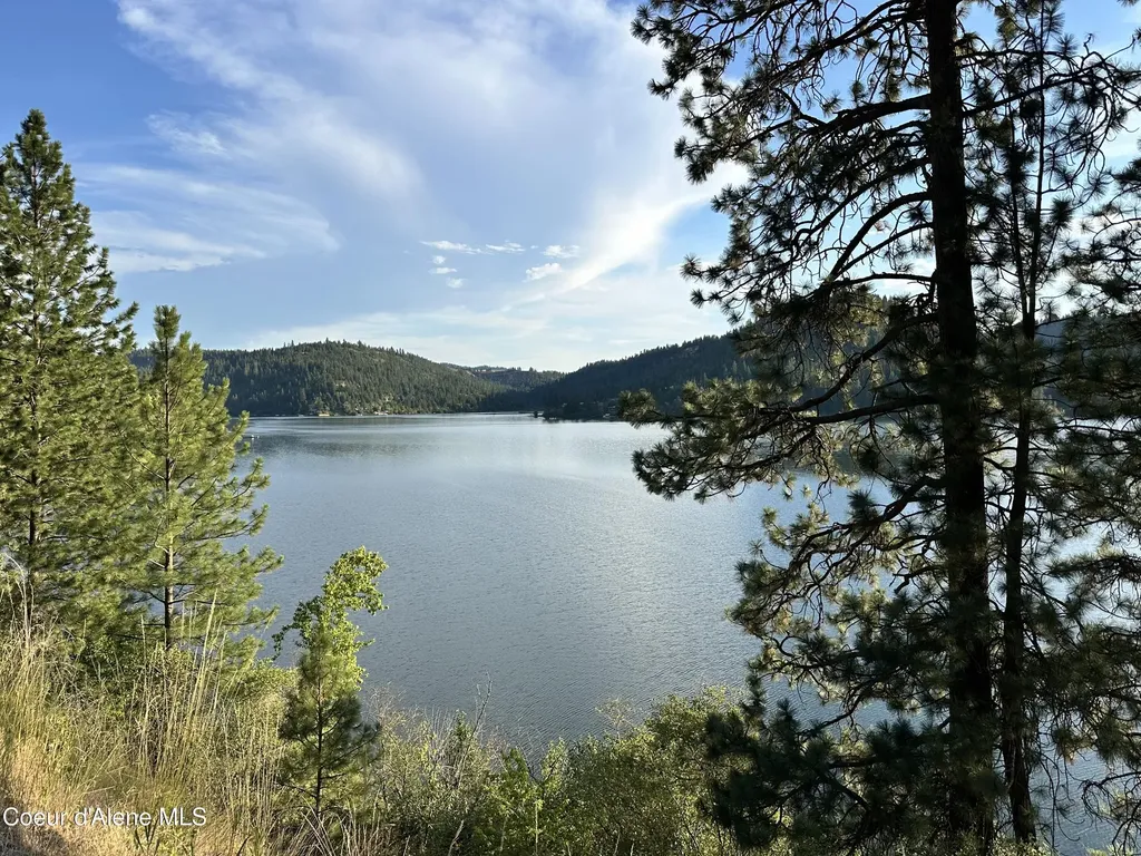29 Acres Hinds Drive St. Maries ID 83861