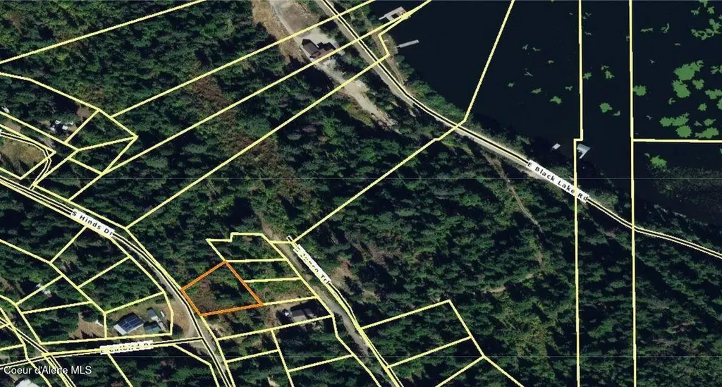 29 Acres Hinds Drive St. Maries ID 83861