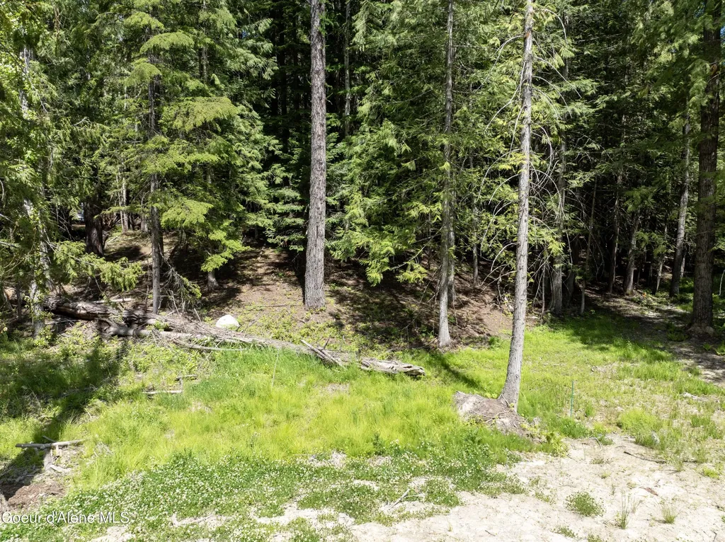 Lot 4 Brown Bear Drive Nordman ID 83848