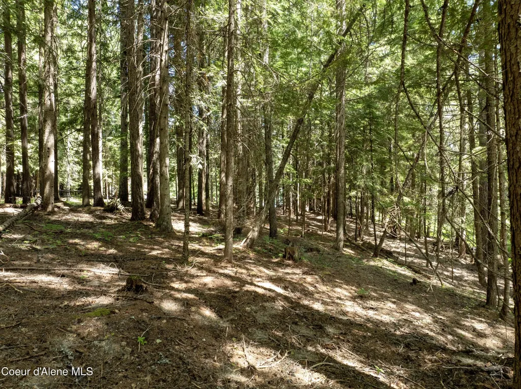 Lot 4 Brown Bear Drive Nordman ID 83848