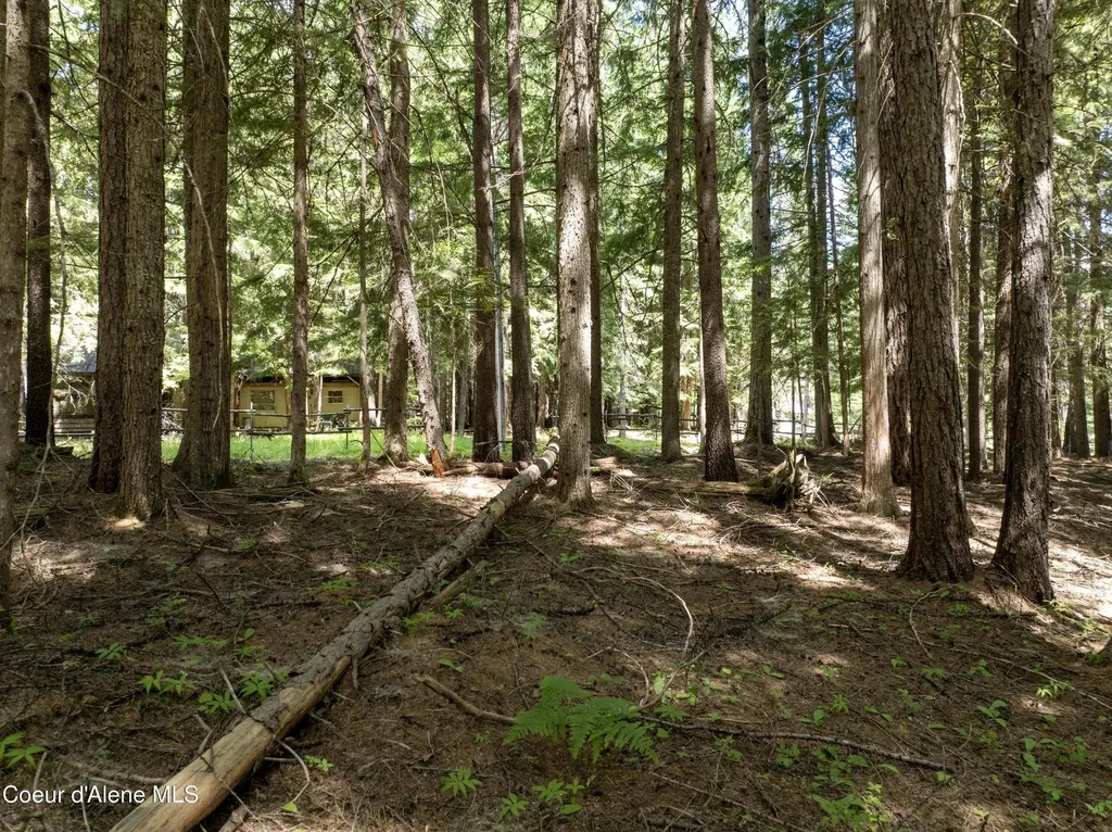 Lot 4 Brown Bear Drive Nordman ID 83848
