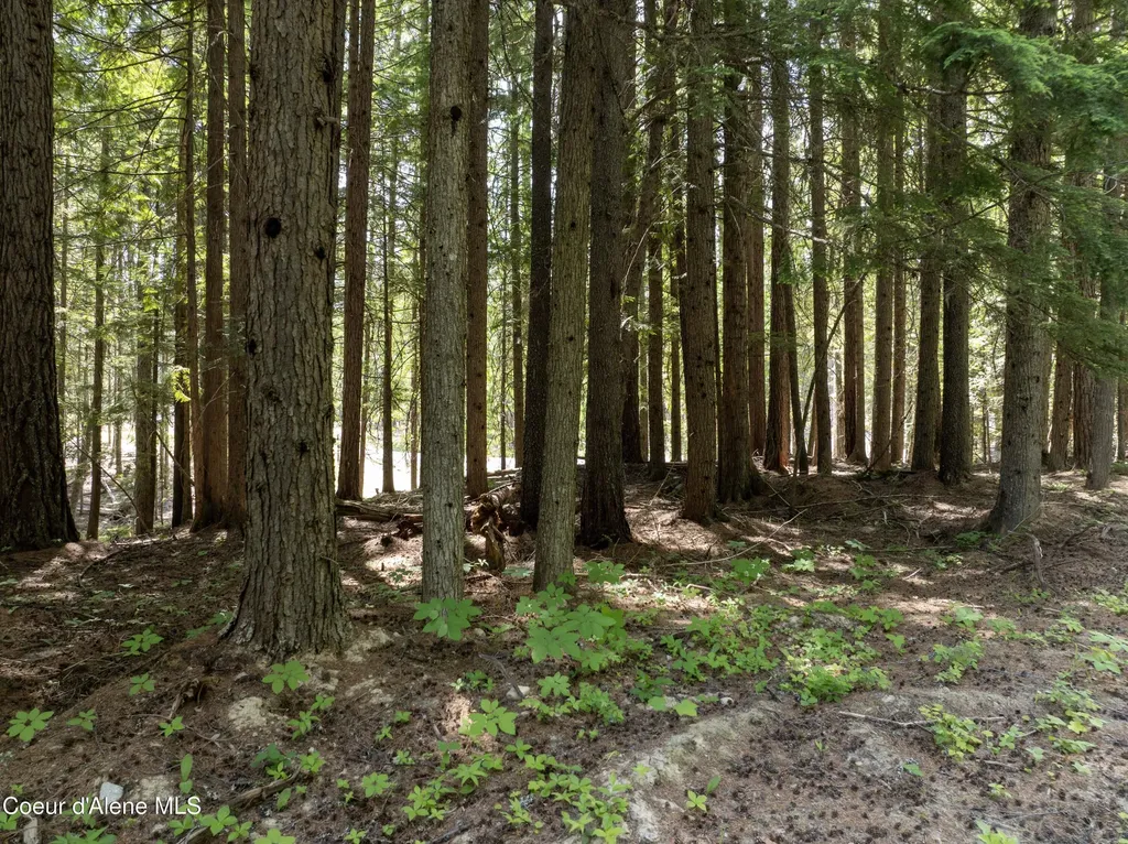 Lot 4 Brown Bear Drive Nordman ID 83848