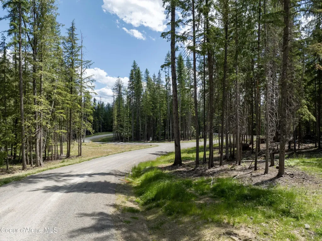 Lot 4 Brown Bear Drive Nordman ID 83848