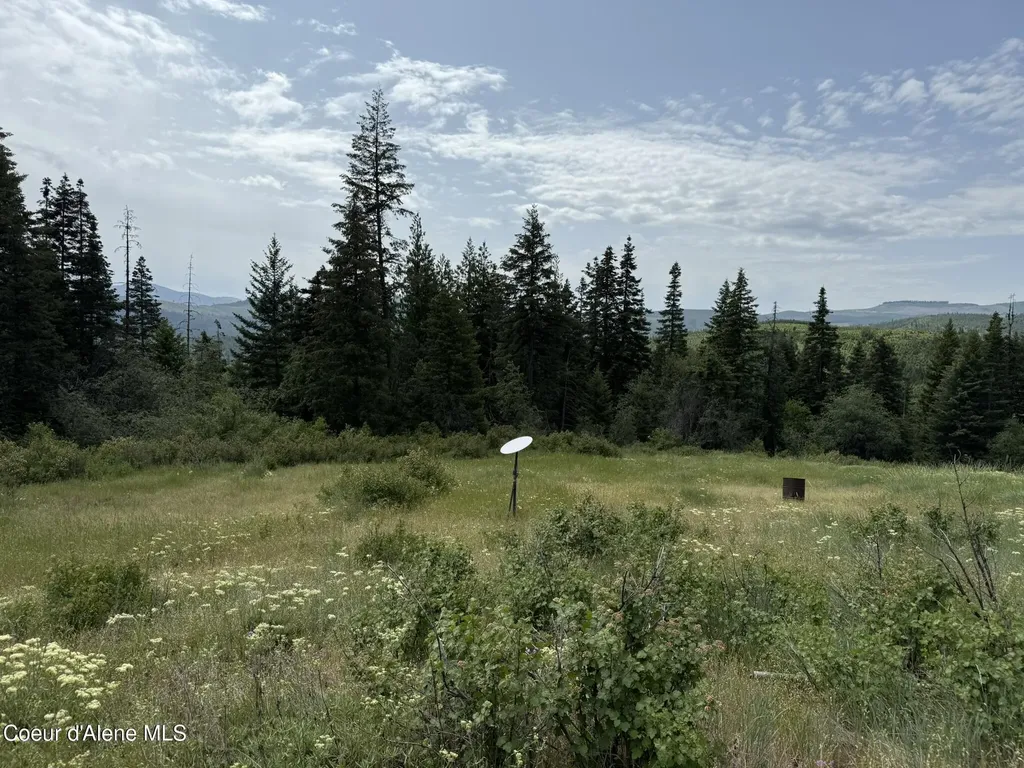 Tbd No Address Per Seller Calder ID 83808