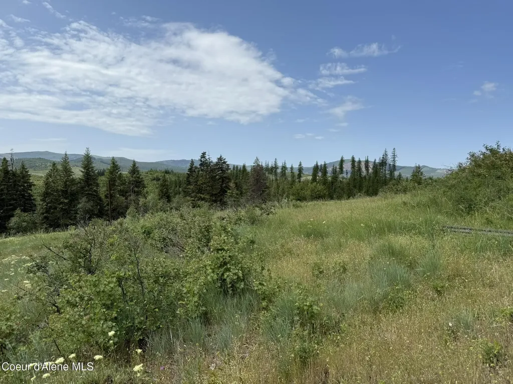 Tbd No Address Per Seller Calder ID 83808