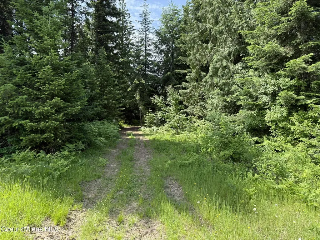Tbd No Address Per Seller Calder ID 83808