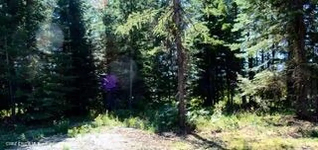 L2 B4 Kula Road Harrison ID 83833