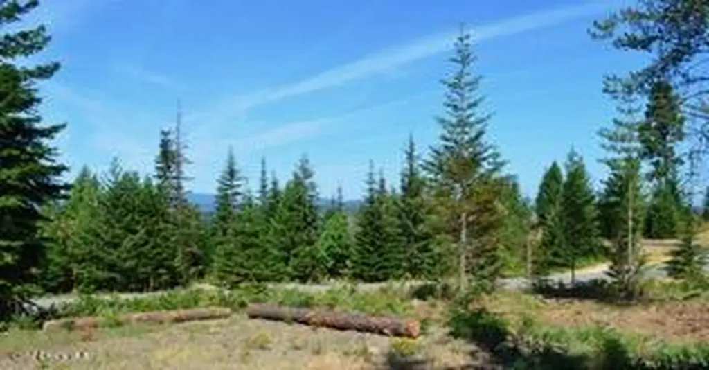 L2 B4 Kula Road Harrison ID 83833