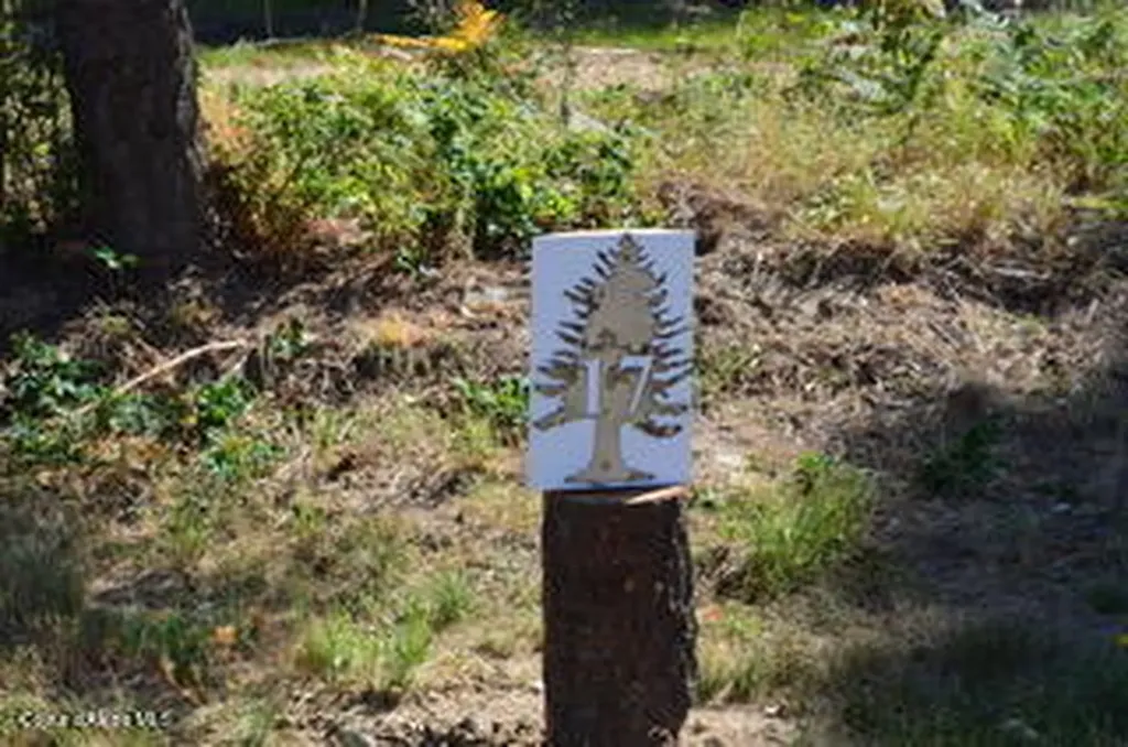 L2 B4 Kula Road Harrison ID 83833