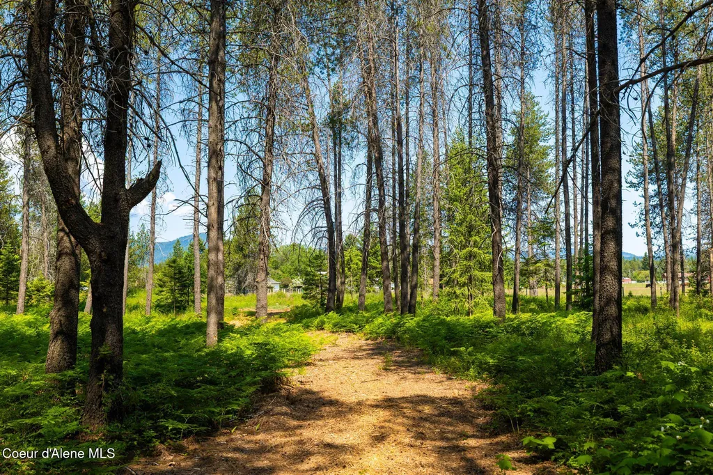699 W Ranch Court Rathdrum ID 83858