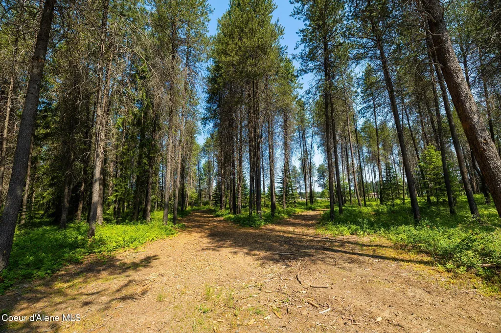 699 W Ranch Court Rathdrum ID 83858