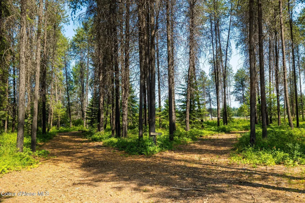 699 W Ranch Court Rathdrum ID 83858