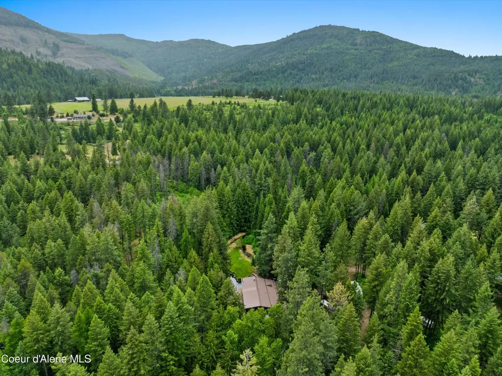 19565 N Goelzer Way Rathdrum ID 83858