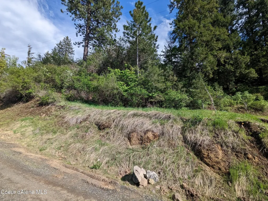 Nka N Frederick Avenue Lots 59, 60 Harrison ID 83833