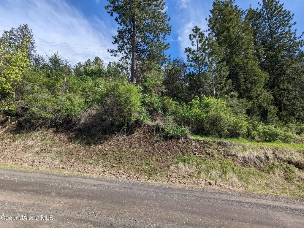 Nka N Frederick Avenue Lot 60 Harrison ID 83833