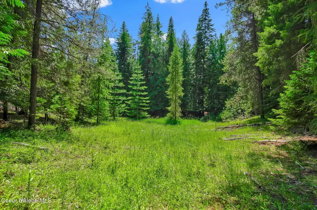 480 Mountain Meadows Road Naples ID 83847