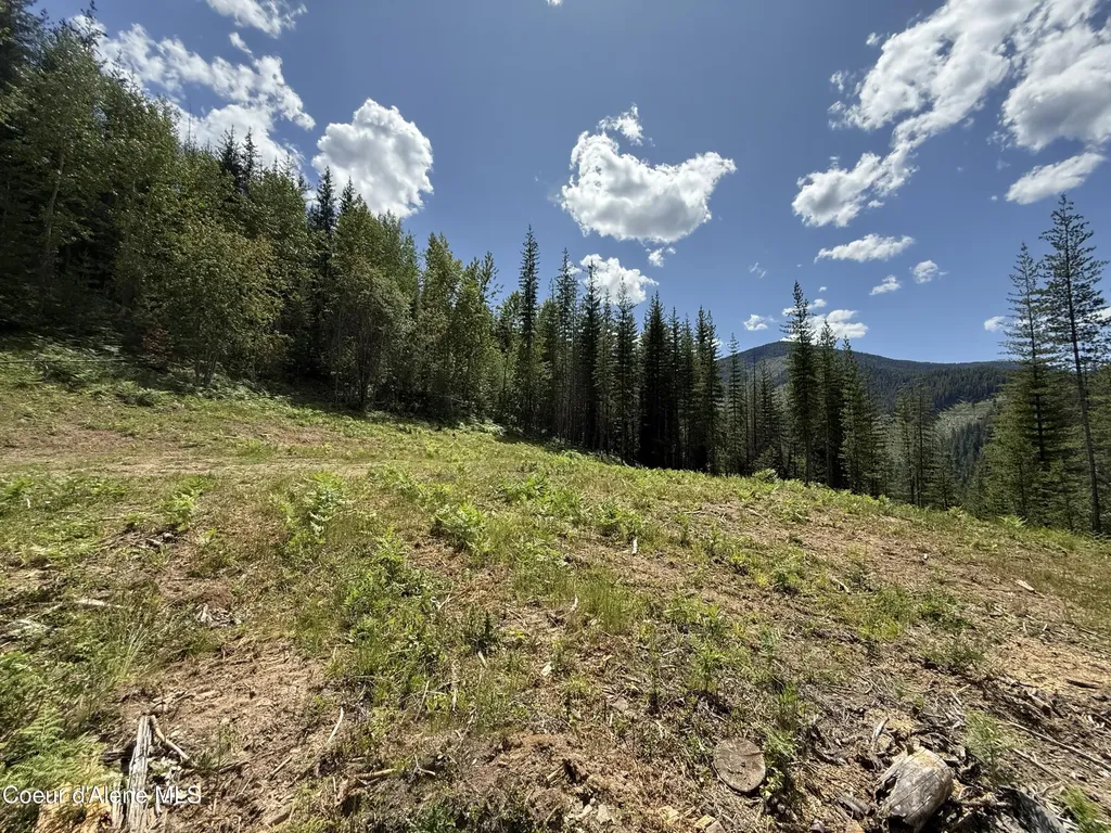 928 Polaris Peak Road Lot 1 Kellogg ID 83837