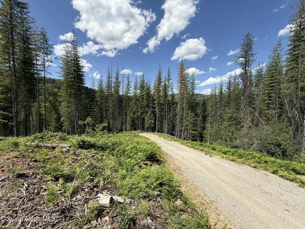 928 Polaris Peak Road Lot 1 Kellogg ID 83837