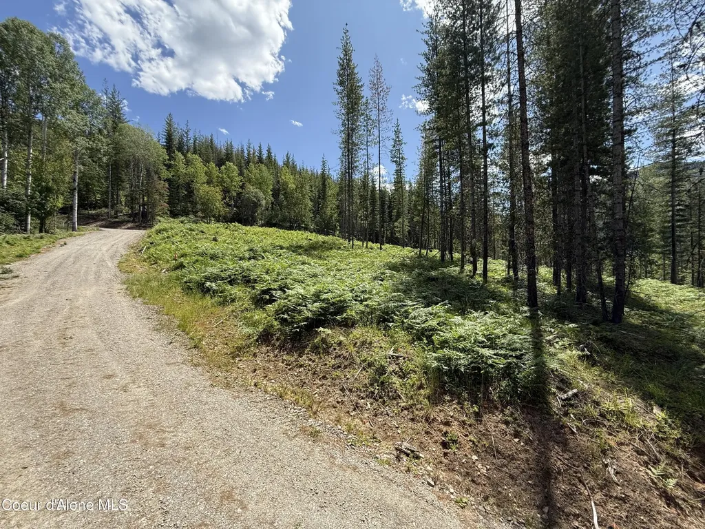 928 Polaris Peak Road Lot 1 Kellogg ID 83837