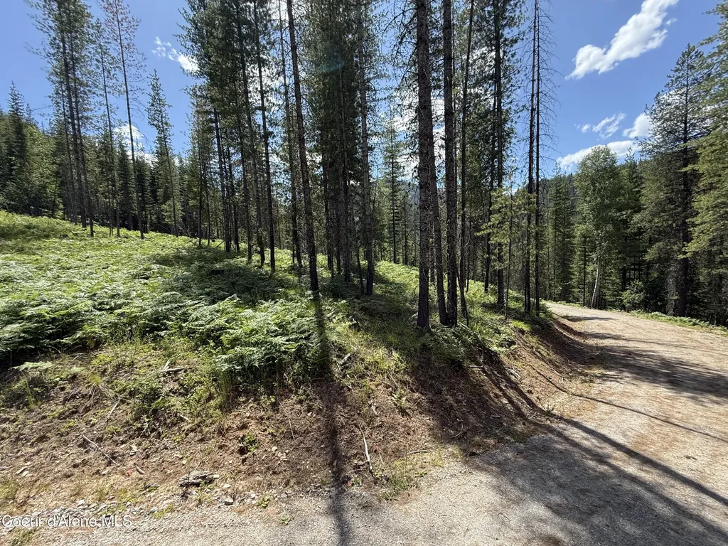 928 Polaris Peak Road Lot 1 Kellogg ID 83837
