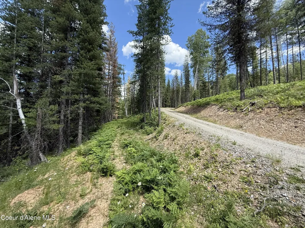 928 Polaris Peak Road Lot 1 Kellogg ID 83837