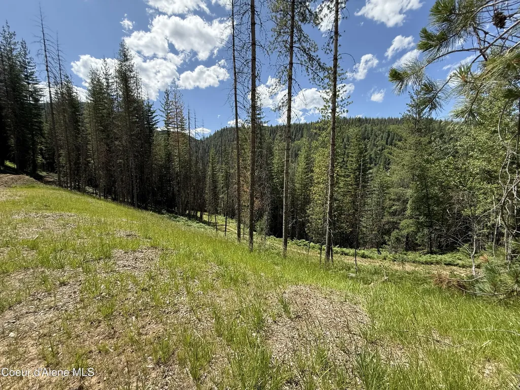 928 Polaris Peak Road Lot 3 Kellogg ID 83837
