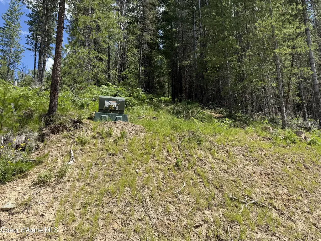928 Polaris Peak Road Lot 3 Kellogg ID 83837