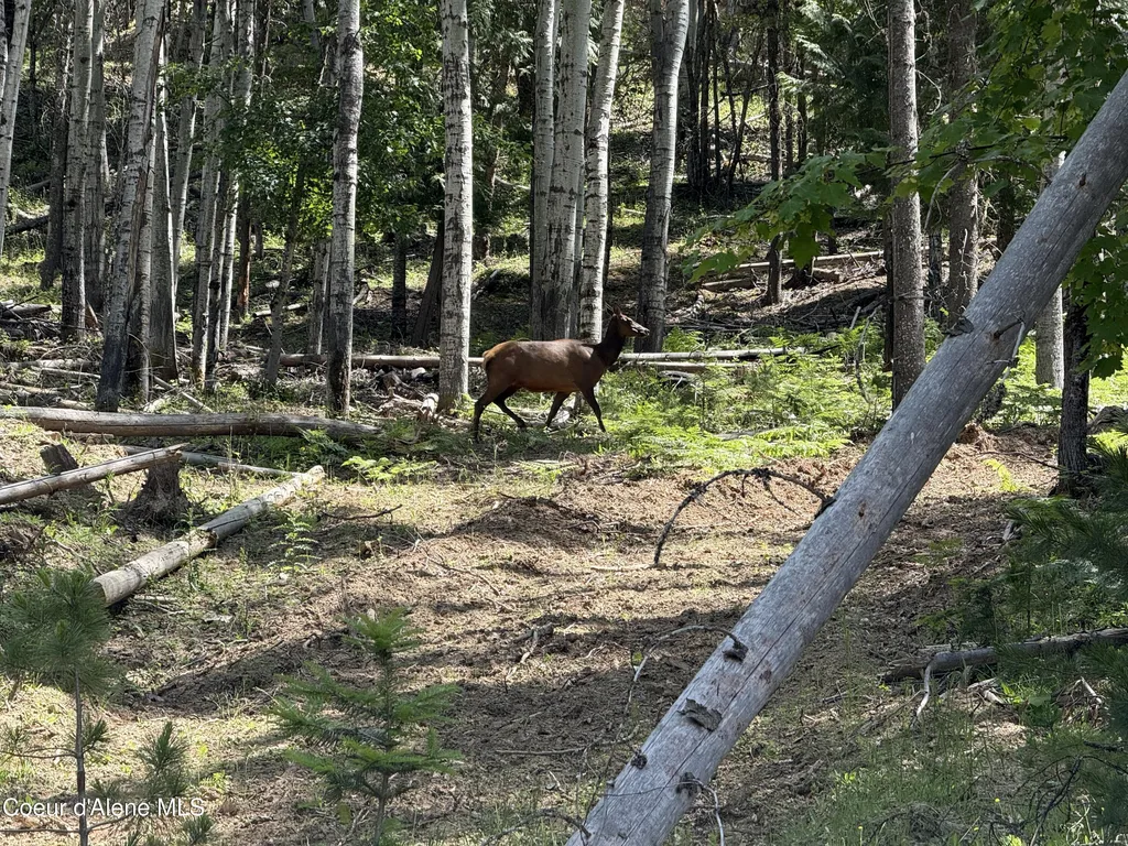 928 Polaris Peak Road Lot 2 Kellogg ID 83837